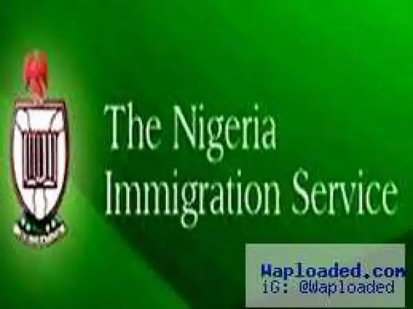 Jonathan’s Ministers Now Returning Diplomatic Passports – Immigration CG